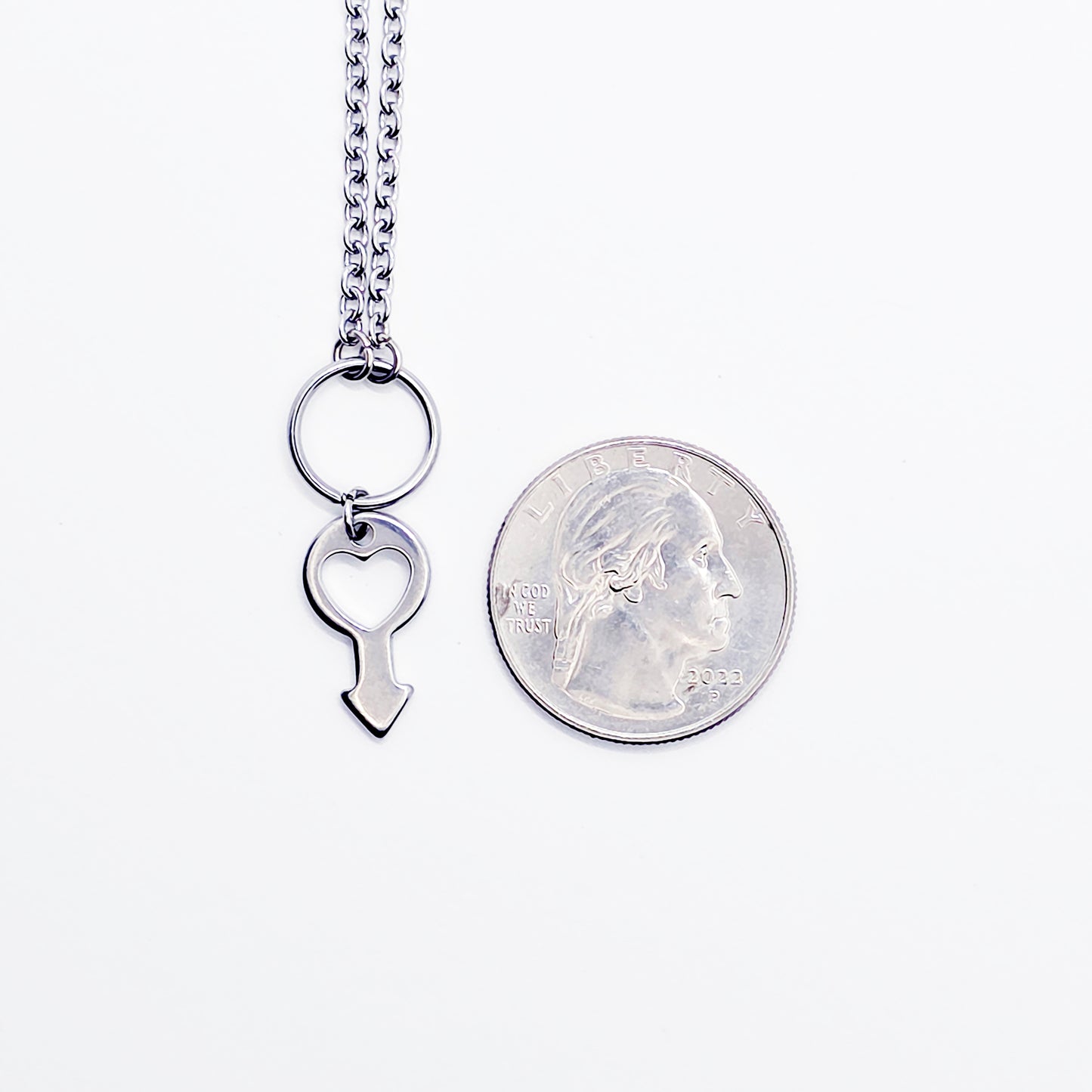 Day Collar for BDSM Submissive, Stainless Steel Discreet Day Wear Choker Necklace