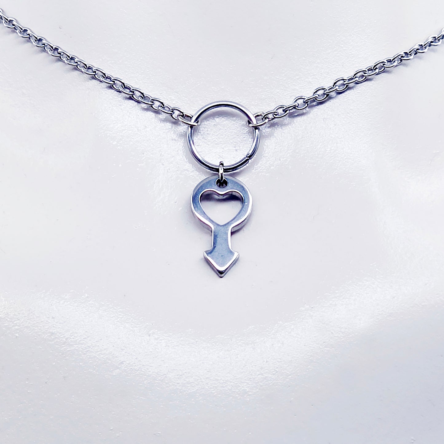 Day Collar for BDSM Submissive, Stainless Steel Discreet Day Wear Choker Necklace