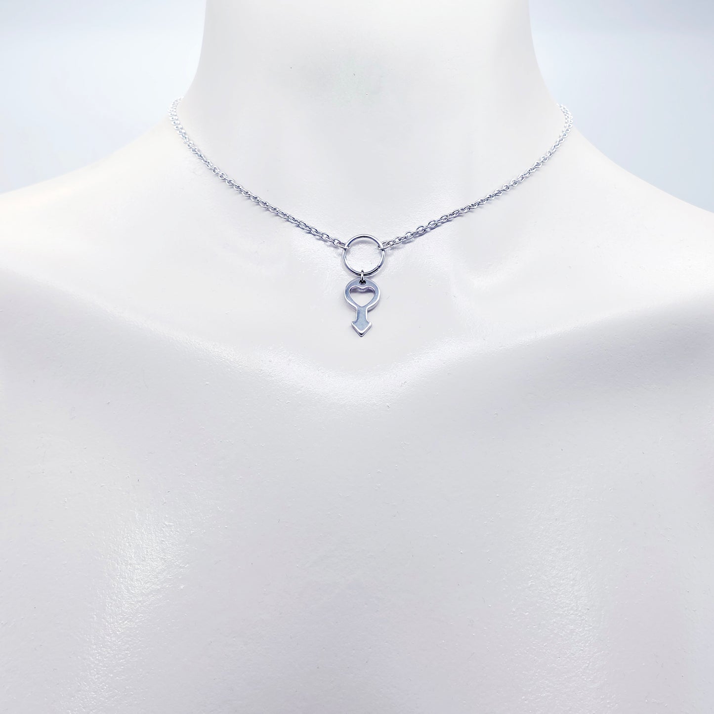 Day Collar for BDSM Submissive, Stainless Steel Discreet Day Wear Choker Necklace