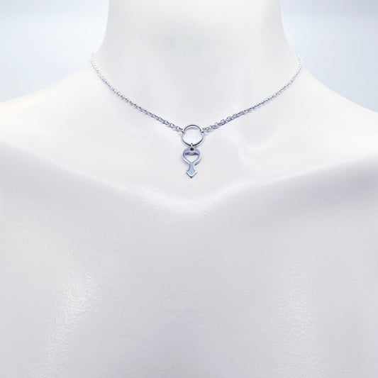 Day Collar for BDSM Submissive, Stainless Steel Discreet Day Wear Choker Necklace