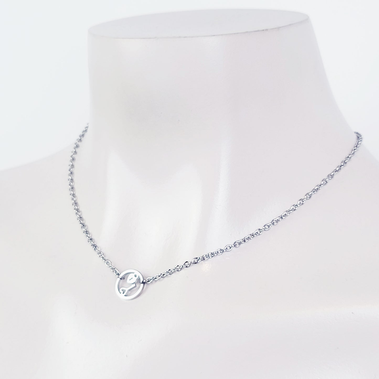 Day Collar, Stainless Steel with Circle of O Heart Locket and Key Pendant. 24/7 Wear Discreet Collar